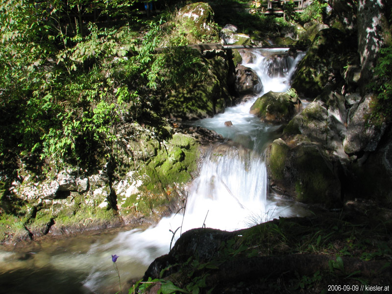 falling water 1